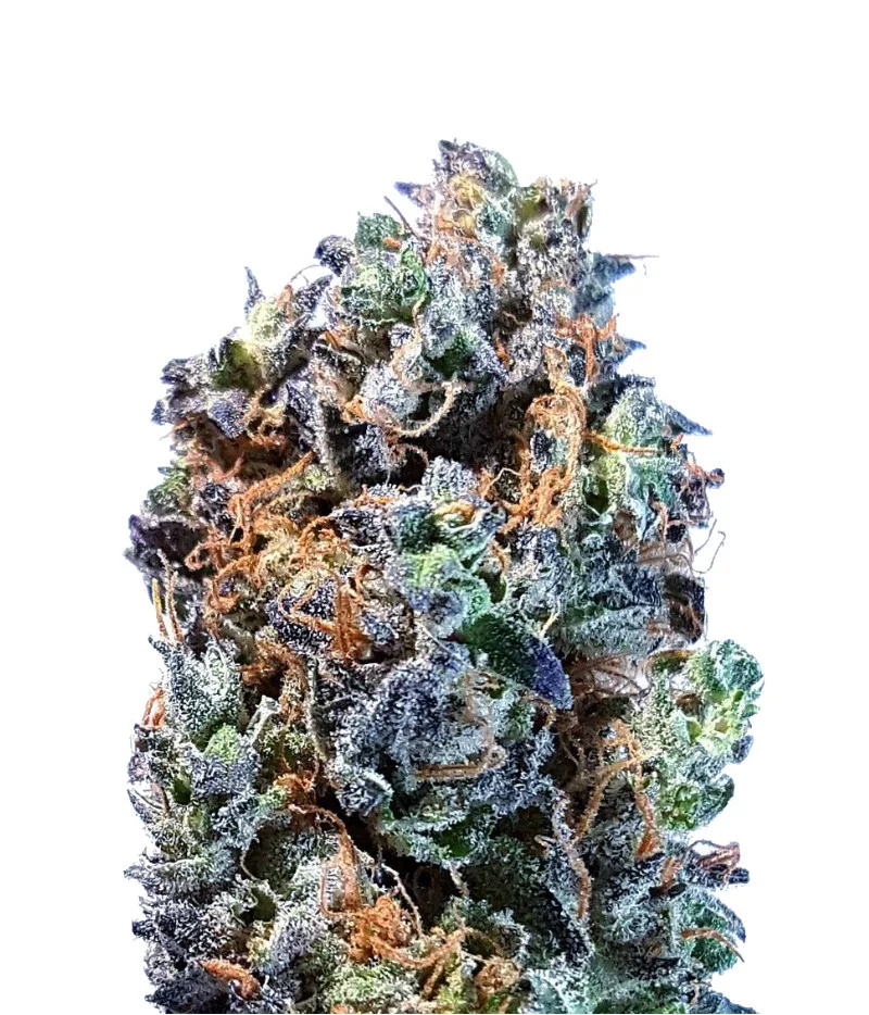 Hellfire OG