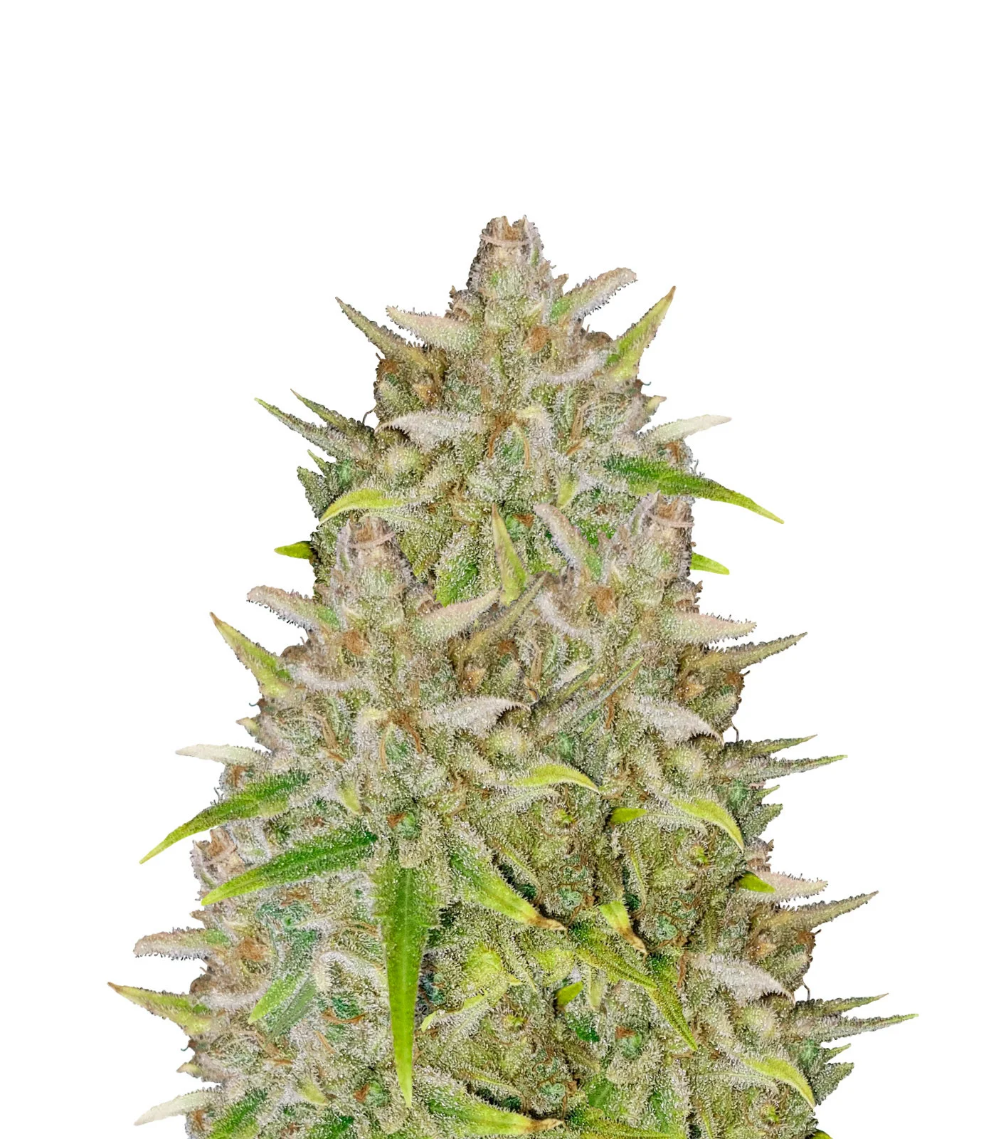 Star Killer